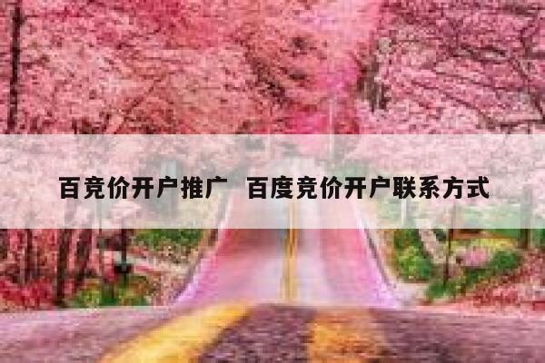 百竞价开户推广  百度竞价开户联系方式 第1张