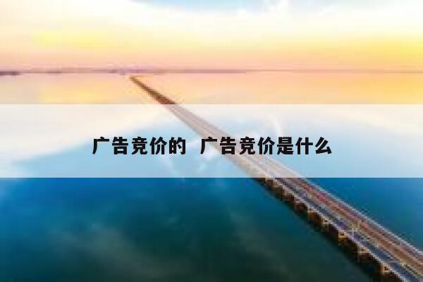 广告竞价的  广告竞价是什么 第1张