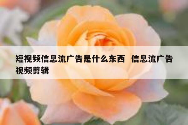 短视频信息流广告是什么东西  信息流广告视频剪辑