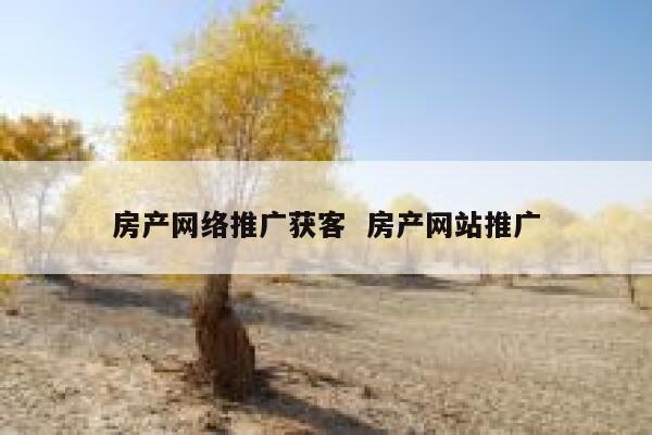 房产网络推广获客  房产网站推广 第1张