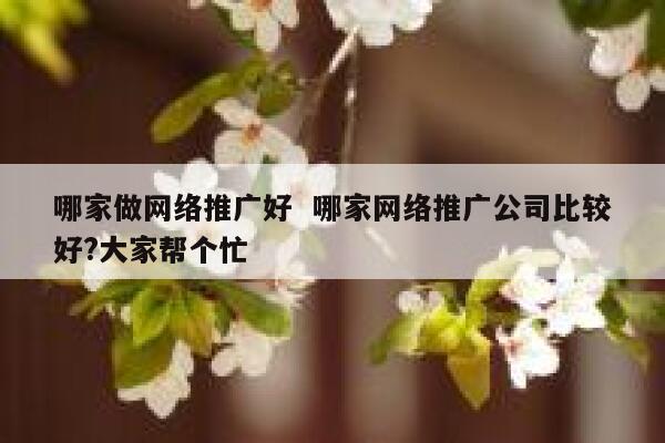 哪家做网络推广好  哪家网络推广公司比较好?大家帮个忙 第1张