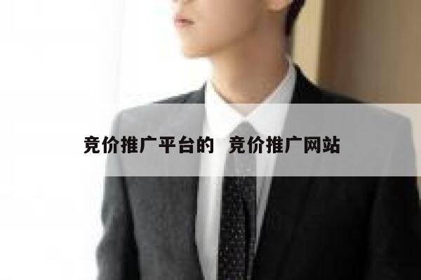 竞价推广平台的  竞价推广网站 第1张