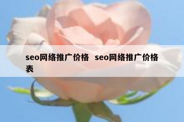 seo网络推广价格  seo网络推广价格表