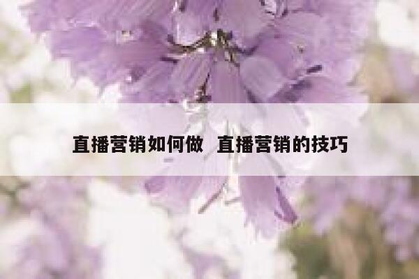 直播营销如何做  直播营销的技巧