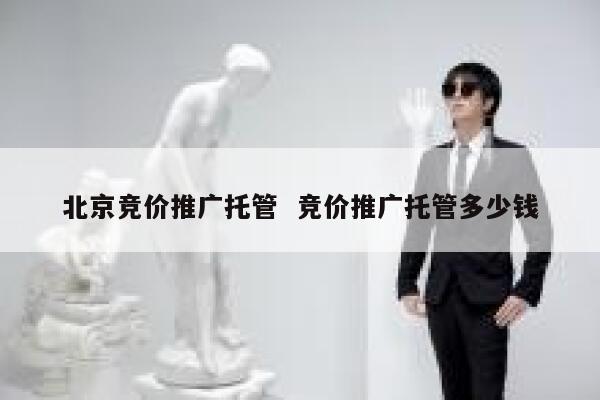 北京竞价推广托管  竞价推广托管多少钱