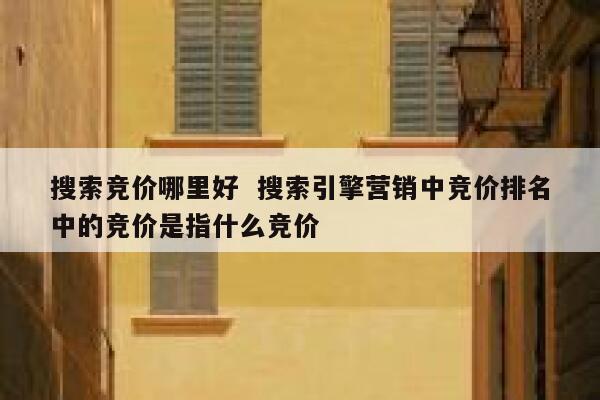 搜索竞价哪里好  搜索引擎营销中竞价排名中的竞价是指什么竞价