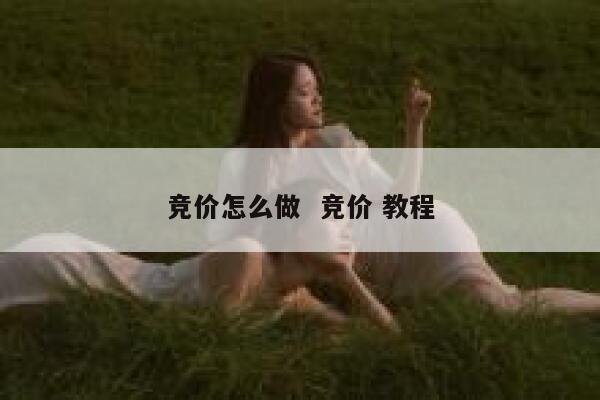 竞价怎么做  竞价 教程