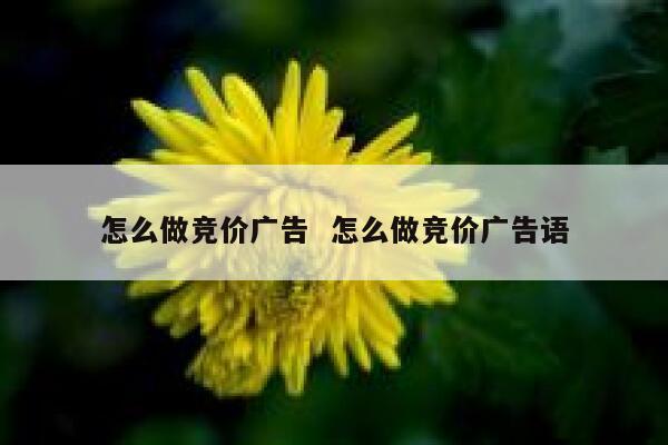 怎么做竞价广告  怎么做竞价广告语