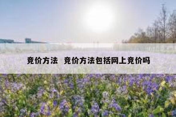 竞价方法  竞价方法包括网上竞价吗
