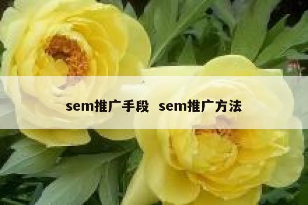 sem推广手段  sem推广方法