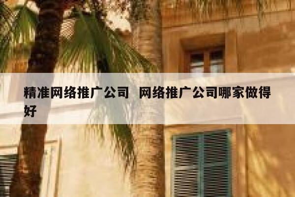 精准网络推广公司  网络推广公司哪家做得好