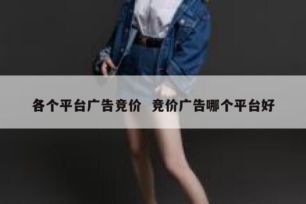 各个平台广告竞价  竞价广告哪个平台好