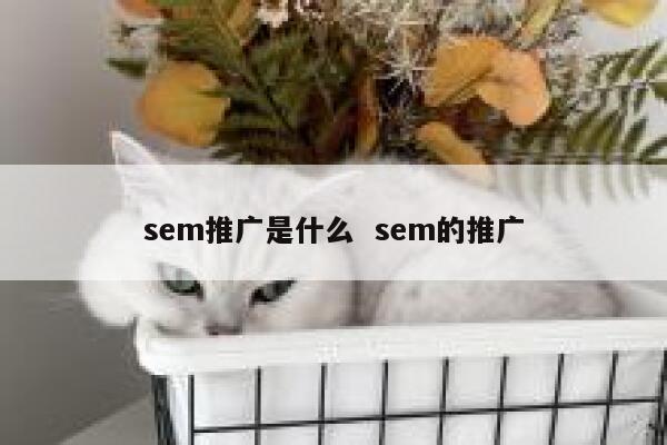sem推广是什么  sem的推广