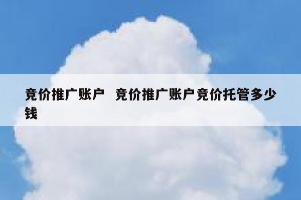 竞价推广账户  竞价推广账户竞价托管多少钱