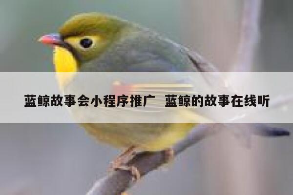 蓝鲸故事会小程序推广  蓝鲸的故事在线听