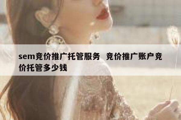 sem竞价推广托管服务  竞价推广账户竞价托管多少钱