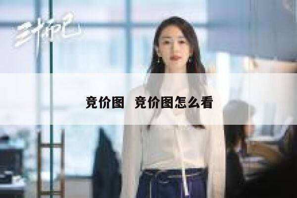 竞价图  竞价图怎么看