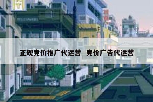 正规竞价推广代运营  竞价广告代运营