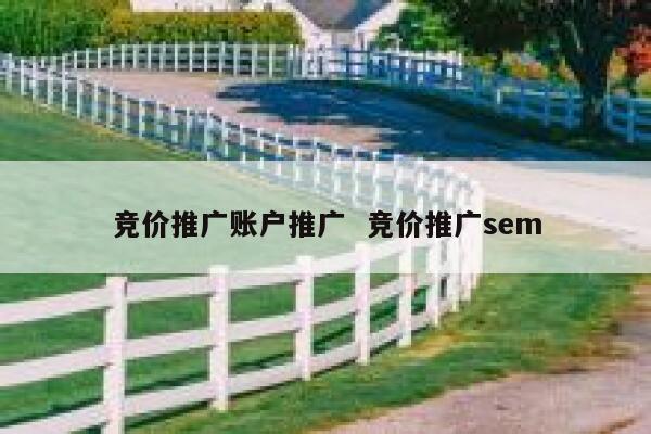 竞价推广账户推广  竞价推广sem