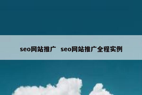 seo网站推广  seo网站推广全程实例