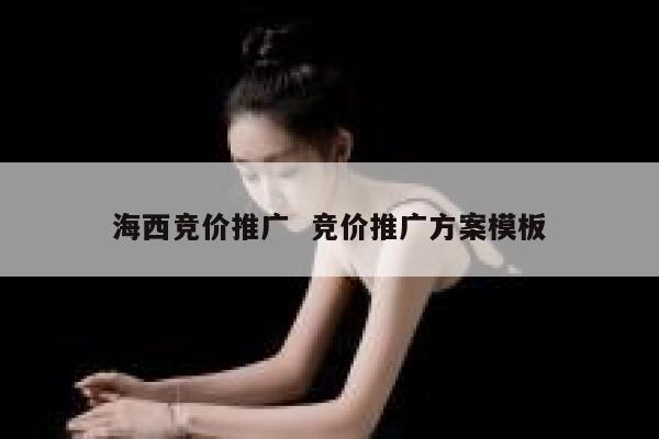 海西竞价推广  竞价推广方案模板
