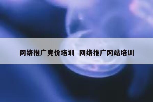 网络推广竞价培训  网络推广网站培训