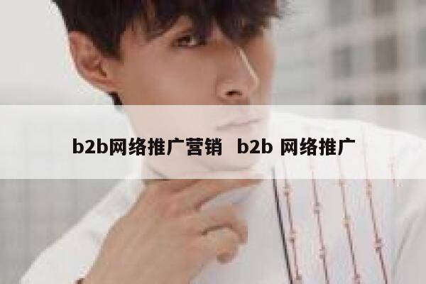 b2b网络推广营销  b2b 网络推广