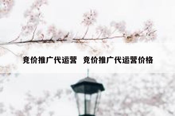 竞价推广代运营  竞价推广代运营价格