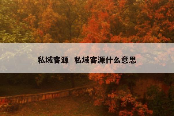 私域客源  私域客源什么意思