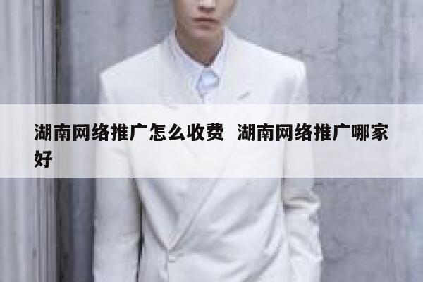 湖南网络推广怎么收费  湖南网络推广哪家好