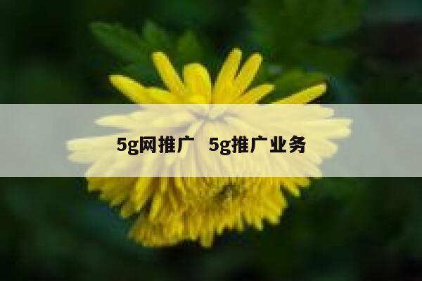 5g网推广  5g推广业务