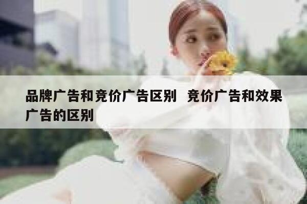 品牌广告和竞价广告区别  竞价广告和效果广告的区别