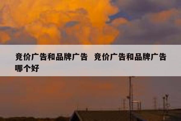 竞价广告和品牌广告  竞价广告和品牌广告哪个好