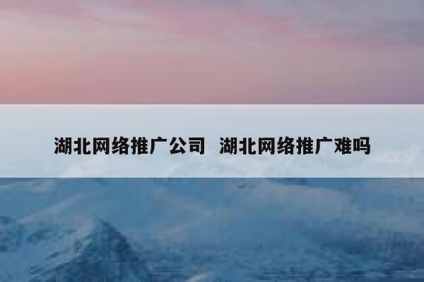 湖北网络推广公司  湖北网络推广难吗