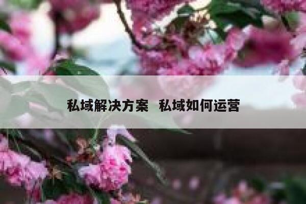私域解决方案  私域如何运营