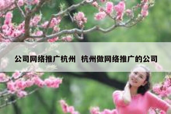 公司网络推广杭州  杭州做网络推广的公司