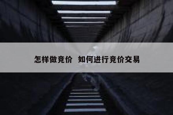 怎样做竞价  如何进行竞价交易