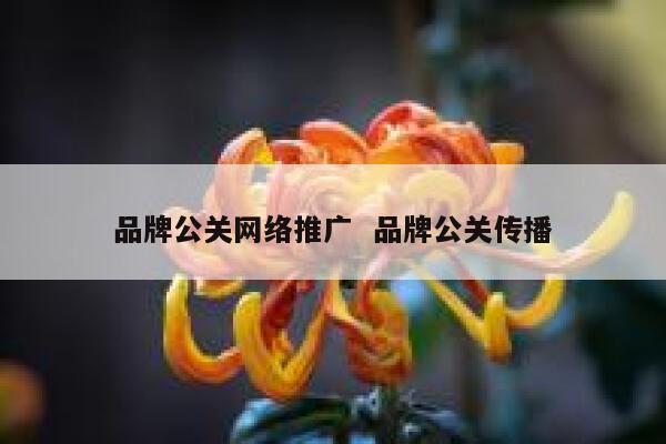 品牌公关网络推广  品牌公关传播