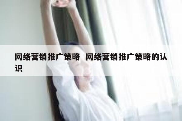 网络营销推广策略  网络营销推广策略的认识