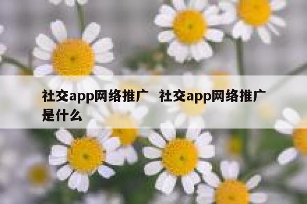 社交app网络推广  社交app网络推广是什么