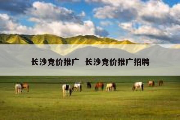 长沙竞价推广  长沙竞价推广招聘