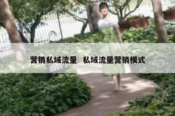 营销私域流量  私域流量营销模式