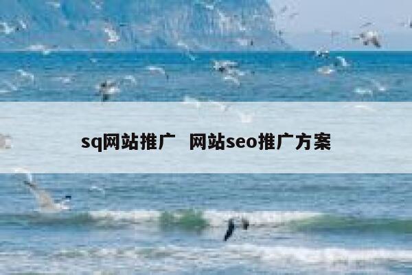 sq网站推广  网站seo推广方案