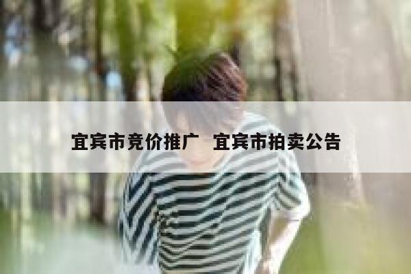 宜宾市竞价推广  宜宾市拍卖公告