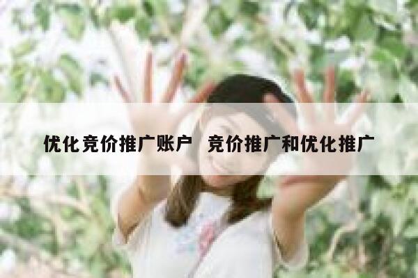 优化竞价推广账户  竞价推广和优化推广