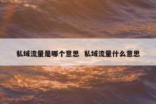 私域流量是哪个意思  私域流量什么意思