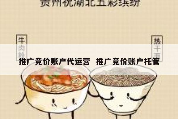 推广竞价账户代运营  推广竞价账户托管