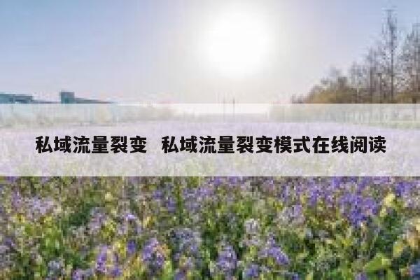 私域流量裂变  私域流量裂变模式在线阅读