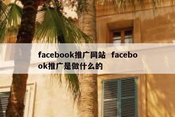 facebook推广网站  facebook推广是做什么的