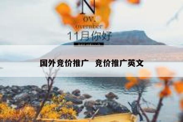 国外竞价推广  竞价推广英文
